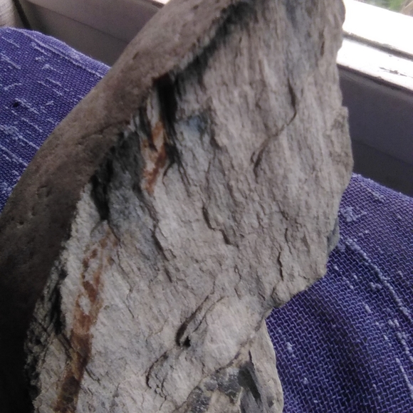 Petrified wood / rocks - Picture 3 of 4